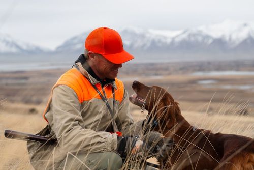 Gun shy dog training, fix gun shy dog, gunshot desensitization dogs, hunting dog gun training, stop gun shyness dog, bird dog gun training, dog gun fear training, gun dog sound conditioning
