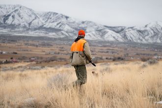 Gun shy dog training, fix gun shy dog, gunshot desensitization dogs, hunting dog gun training, stop gun shyness dog, bird dog gun training, dog gun fear training, gun dog sound conditioning