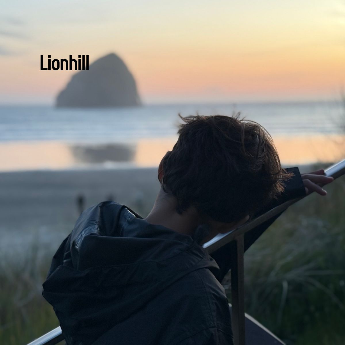 Lionhill - Download