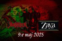 Live at Zaya Bar