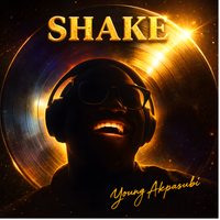 SHAKE by AfrosubiHits