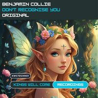 Don't Recognise You - Extended Mix by Benjamin Collie