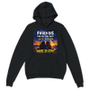 Friends from the Sky - Classic Unisex Pullover Hoodie