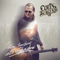 From Sunshine Into Shadow by Colin Burgeson
