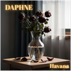 Havana - Fine Art Poster
