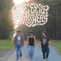Freedom by The Easy Brothers