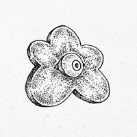 Sunshine Psychedelia by The Easy Brothers
