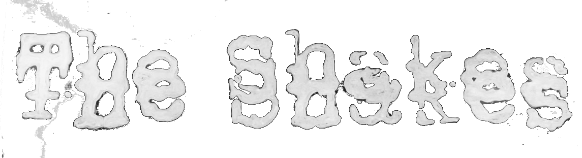 THE SHVKES