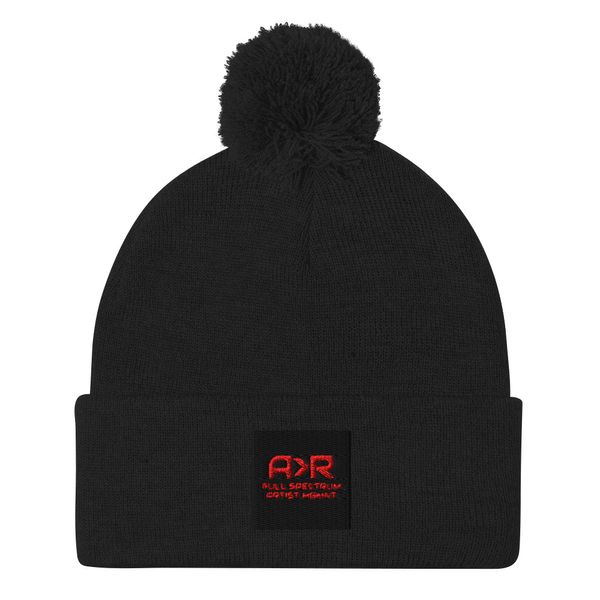 AR| Winter Pom Hat