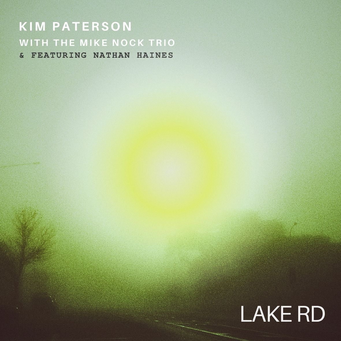 Lake Rd - Lake Rd Vinyl