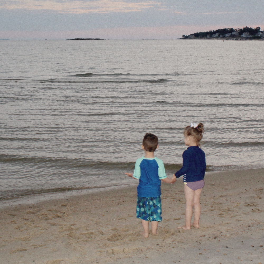 Two young twins holding hands at the edge of the water on a beach