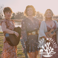 The Night Lights | Iowa Women’s Folk Trio & Harmony-Driven Storytellers