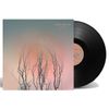 LUMEN - 12" VINYL