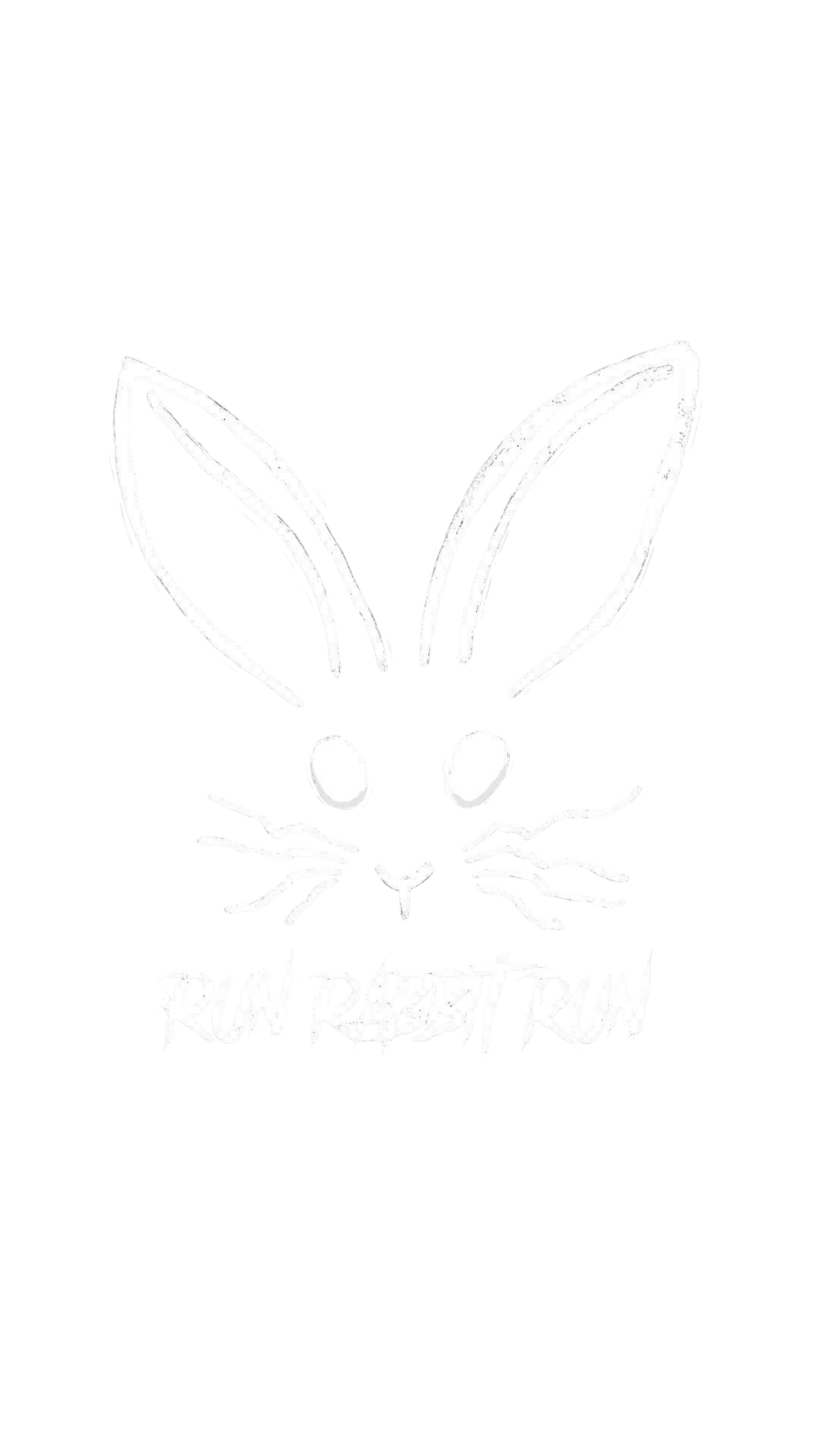 Run Rabbit Run