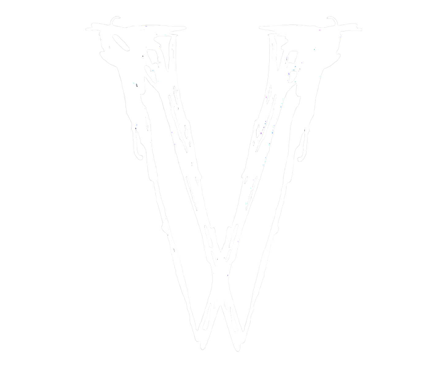 VV