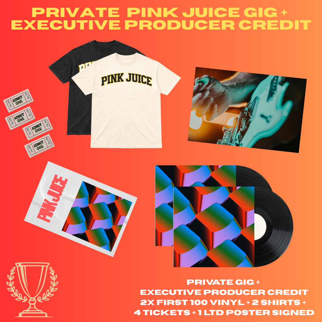 TIER 6 - PRIVATE GIG + EXEC PRODUCER + MERCH