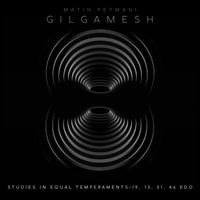Studies in Equal Temperaments-19, 13, 31, 46 EDO by Matin Peymani