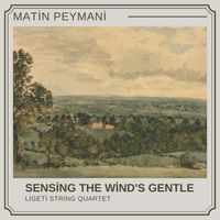 Sensing the Wind's Gentle-the ligeti quartet by Matin Peymani