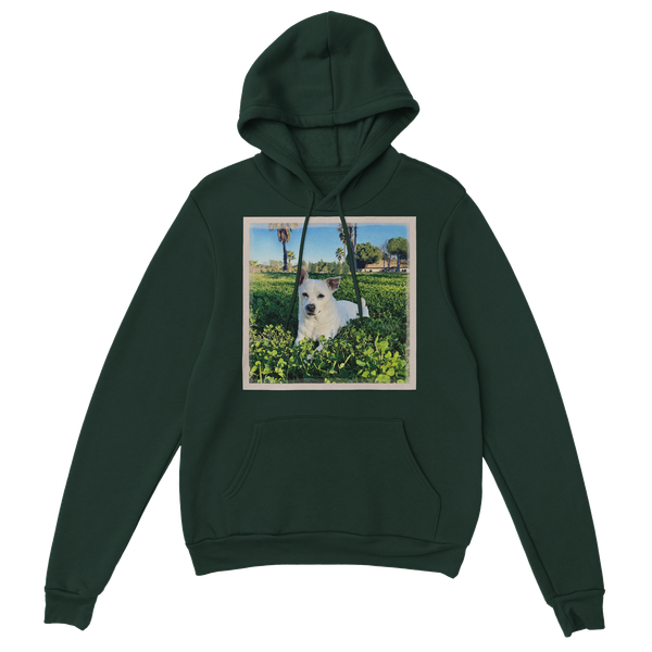 Suzy's Waltz - Classic Unisex Pullover Hoodie