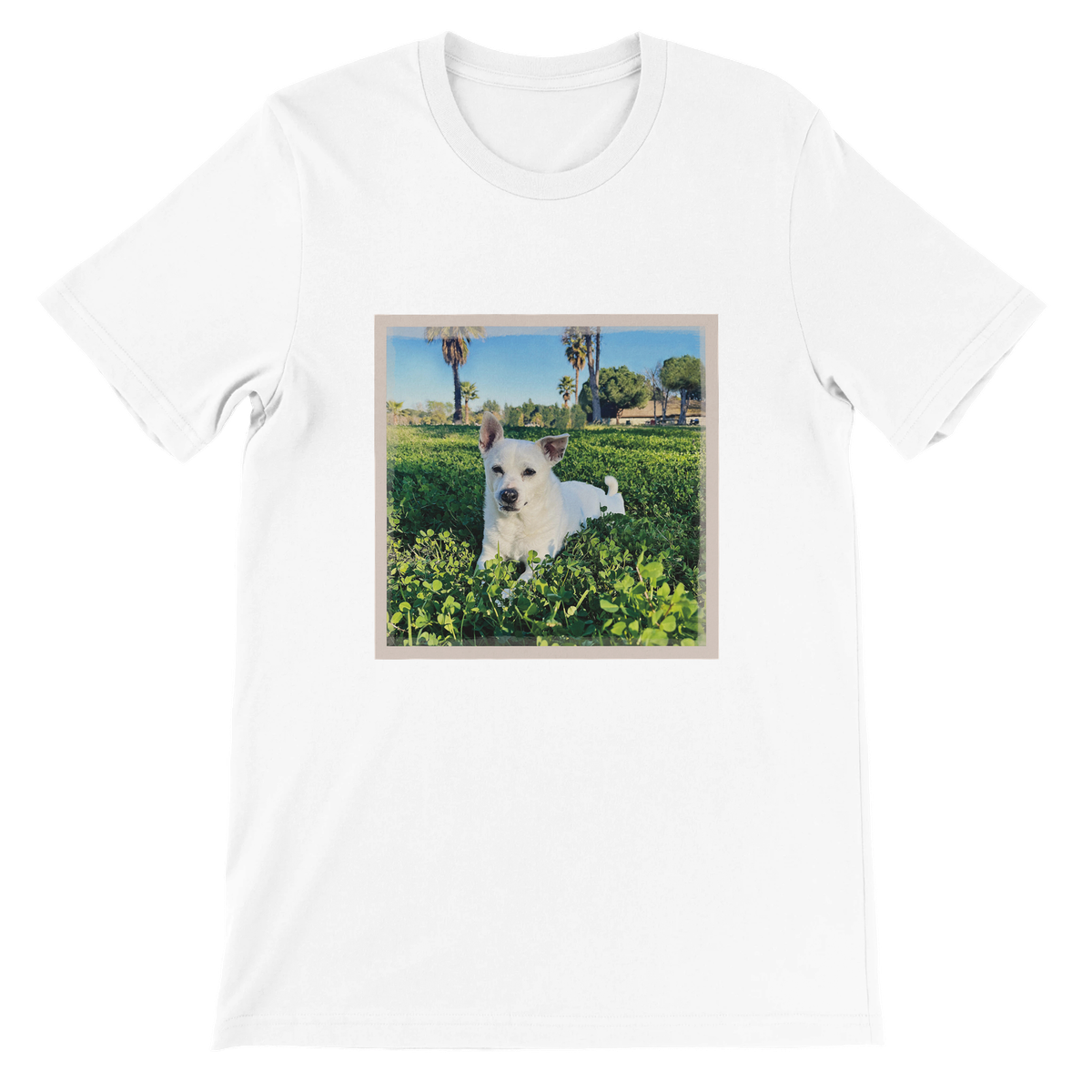 Suzy's Waltz - Unisex T-Shirt