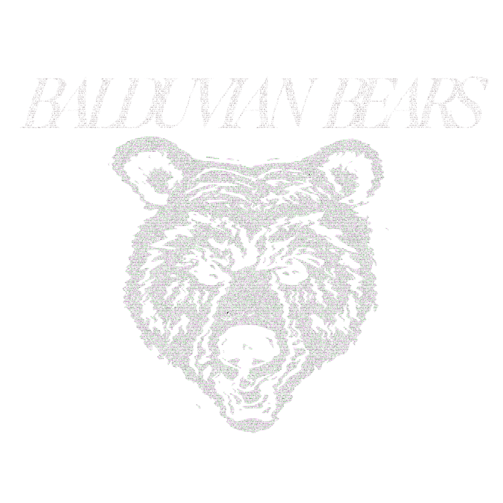 Balduvian Bears - Store