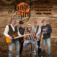 DANGER BIRD AT RAMS HEAD ON STAGE