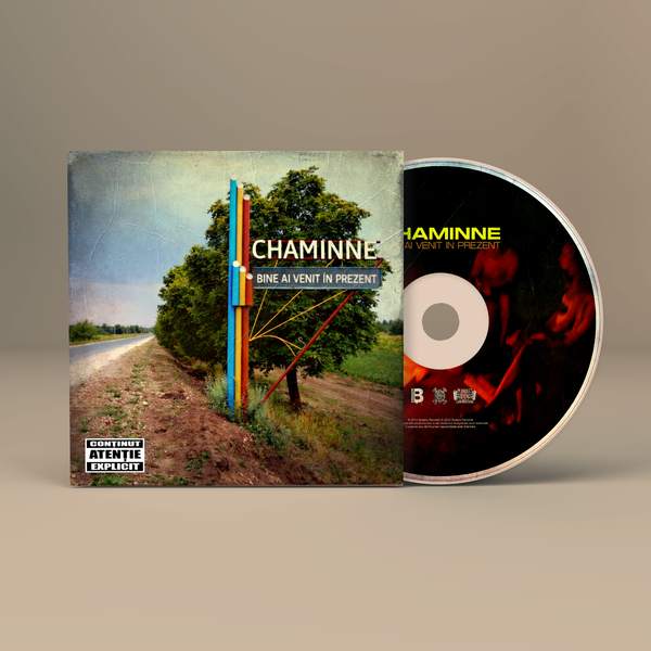 Bine Ai Venit In Prezent - CD