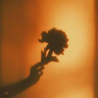 This Feeling by Dominik Link