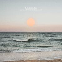 I'll Hear Your Voice Again by Dominik Link