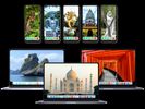 EPIC ASIA COLLECTION