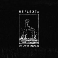 What it Means by REFLEKTA