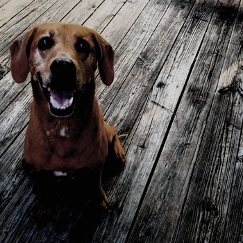 Yet Another But, Album Cover feat. Lucy Korpi.
