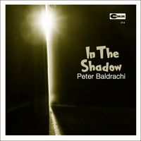 In The Shadow (Single Version) by Peter Baldrachi