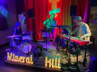 MINERAL HILL 