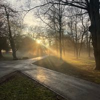 Blurred View by Dylan Hooper