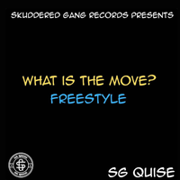 What Is The Move? by SG Quise
