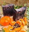 Mandarin, Black Pepper & Litsea