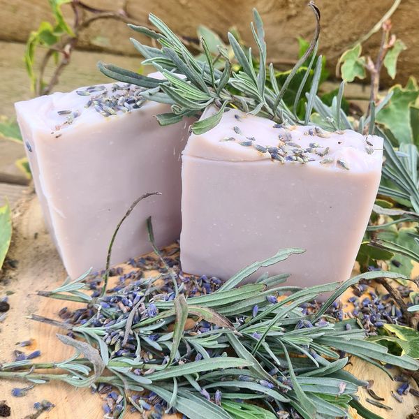 Lavender