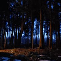 Wilderness by Joshua Milligan