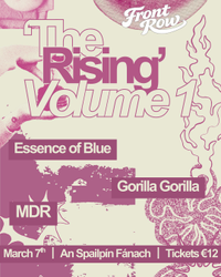 The Rising: Volume 1 