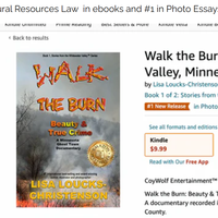Walk the Burn by Lisa LC Music