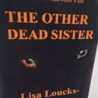 Witness in the Dark by Lisa LC