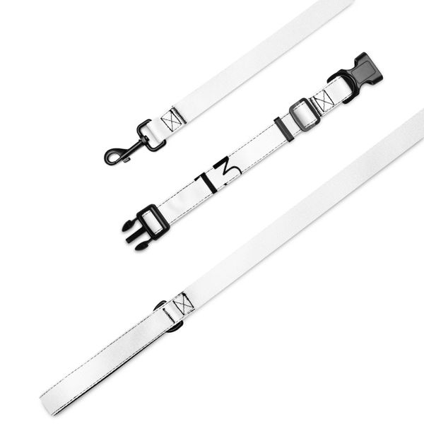 Pet Collar & Leash