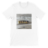many shells - Unisex T-Shirt
