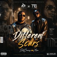 Different Scars (feat. Xtain) by StillChasing