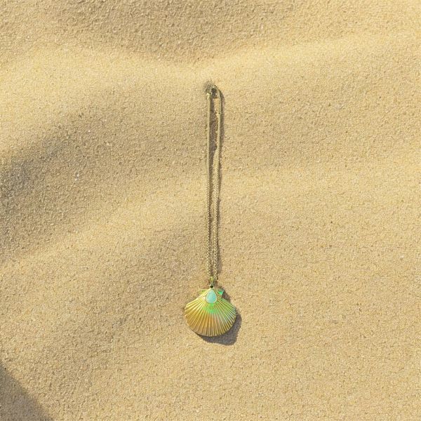 Beautiful scallop shell necklace
