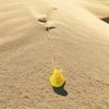 Yellow shell necklace 