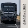 Greyhound