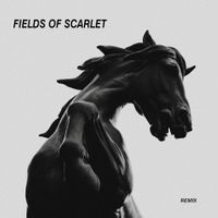 FIELDS OF SCARLET by Jonny Hailey