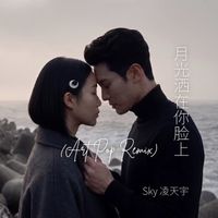 月光洒在你脸上 (Art Pop Remix) by Sky 凌天宇